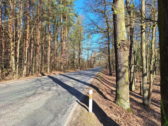Rekonstrukce silnice mezi Břehy a Sopřečí začne v dubnu