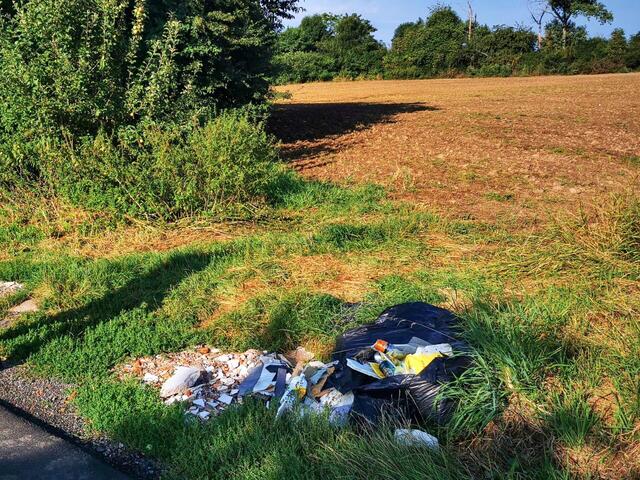 Březen patří úklidu na silnicích i okolo nich. Úklid odpadků stojí miliony ročně