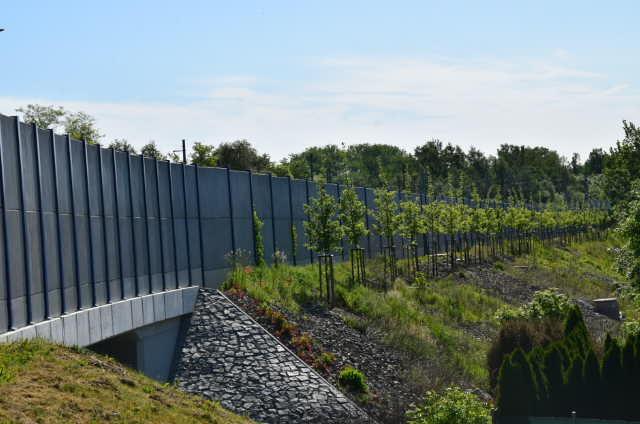 Počet vysazených stromů musí vzrůst, shodli se v Pardubicích ministři